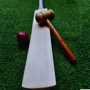 English willow Custom made Cricket bat