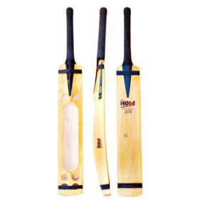 The hold tennis Cricket bat player edition